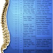 Do Chiropractic Assistants Get Adjusted