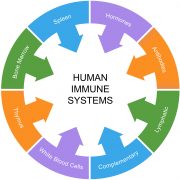 Immune System Health