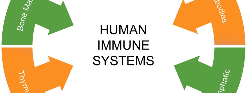 Immune System Health
